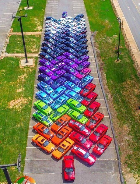 Картинки и приколы из сети