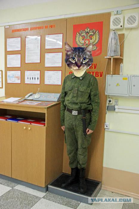 Фотожаба: Дневальный