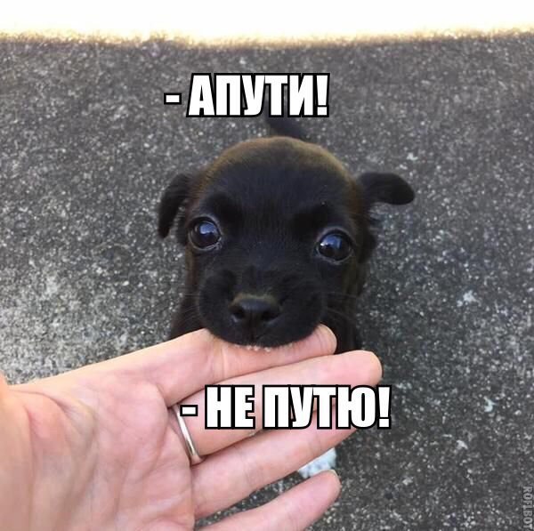 Картинки из вк