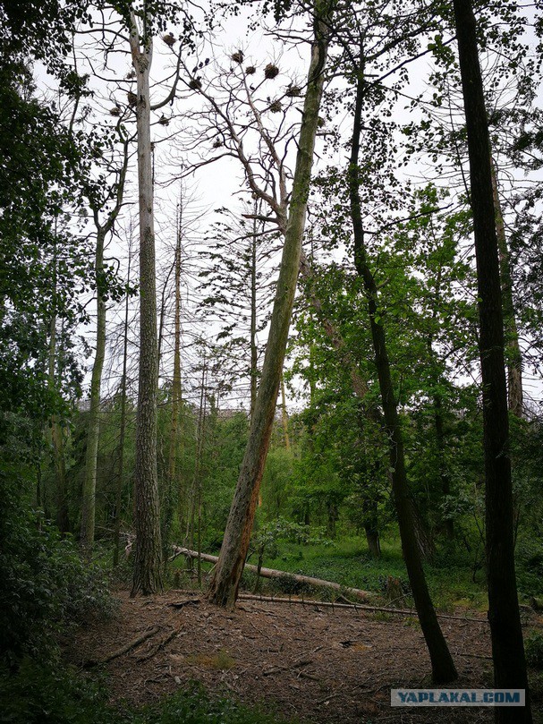 Как могла бы выглядеть русская деревня под грузом европейских ценностей