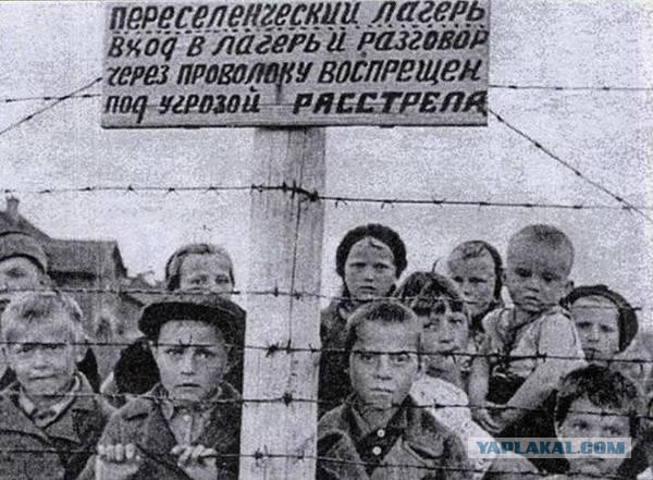 10 тысяч алых цветов возложено к могиле Сталина в Москве