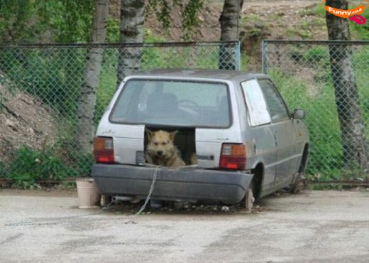 Прикольная подборка картинок!