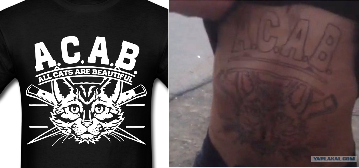 Проект увечье 1613 что значит