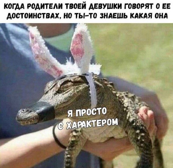 Немного картинок на вечер