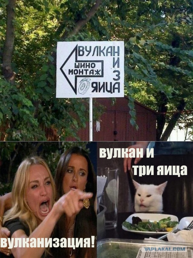 Шушуть картинкав