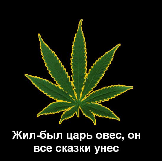 Присказки в картинках