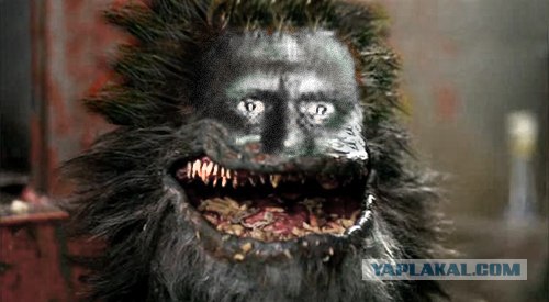 Накачанный зверь