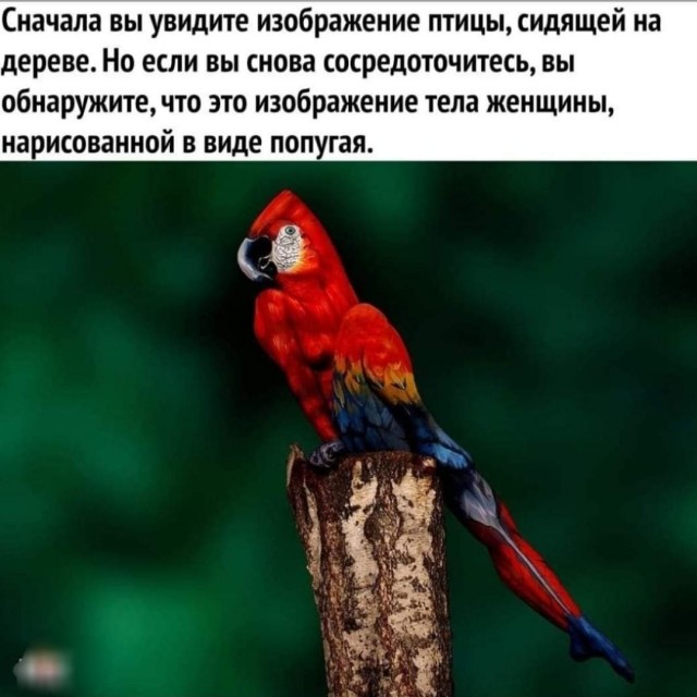 Бредзона 24.12.20