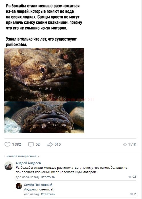 Комментарии к постам в разных группах, которые вызвали улыбку
