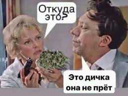 Солевой зомби из Твери.
