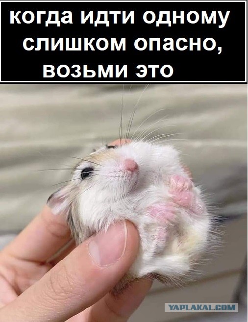 Картинки с надписями и всякие жизненные фразы 17.7.21