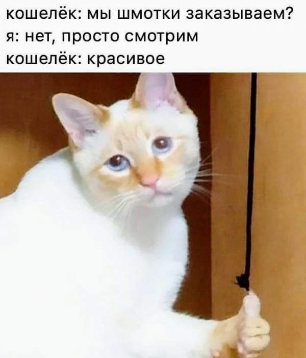 Картинки и мемы для настроения 23.08.2021