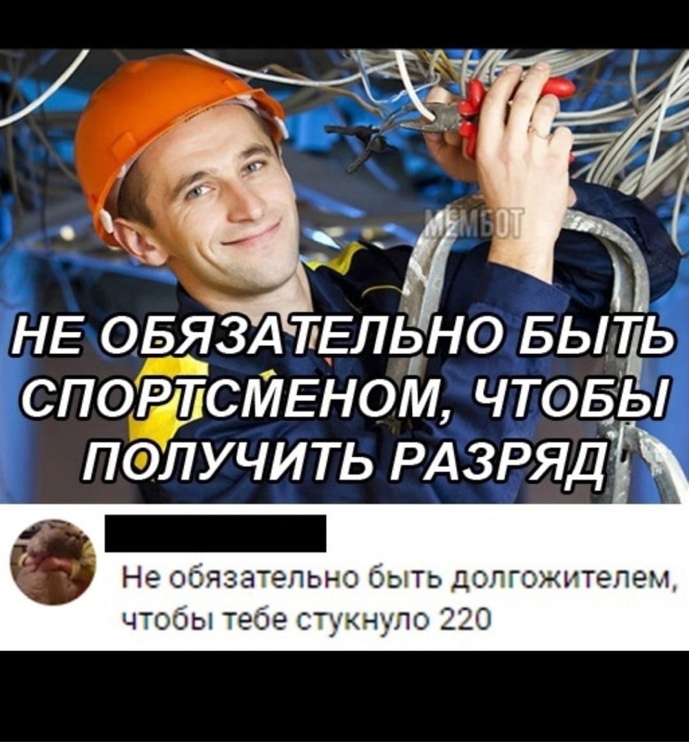 16026006.jpg