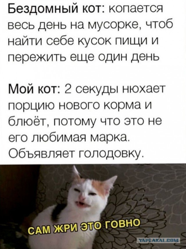 Так себе картинки 25.10.21