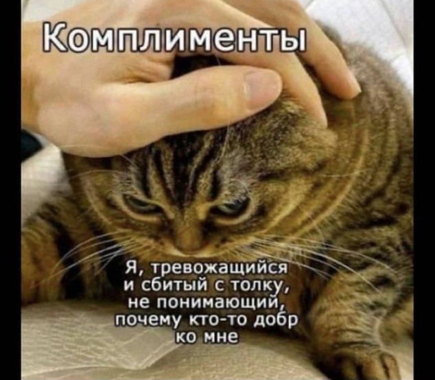 Картинки и мемы, всем хороших выходных