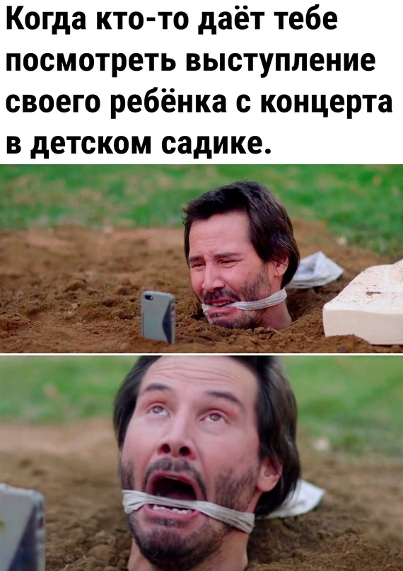 Весёлый полтишок 08.04.24