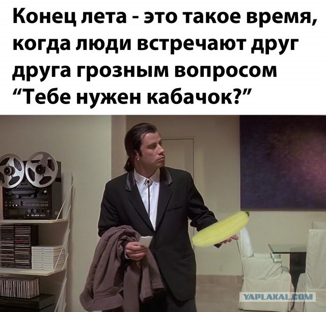 Кабачок