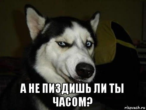 Чипсы не вызывают гастрит, высыпания и ожирение, — эндокринолог