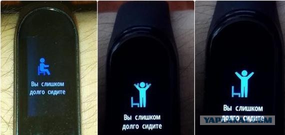Дата выборов Президента Республики Беларусь назначена на 26 января 2025 года