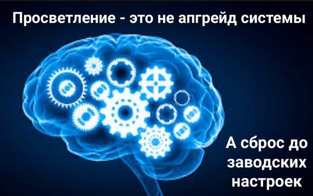 Прикольные и просто красивые картинки 22.11.2024