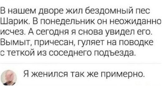 Веселое настроение в картинках