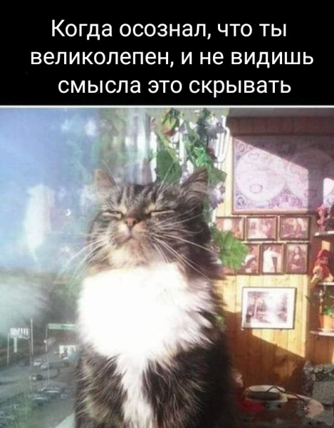 Картинки для деградации 129 (разной степени свежести)