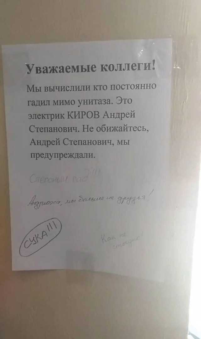 Картинки для деградации 133 (разной степени свежести)