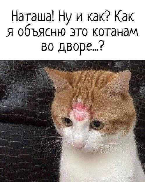 Найди себе уже мужика, Наташа!
