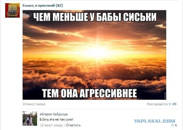 Смешные комментарии из социальных сетей #2