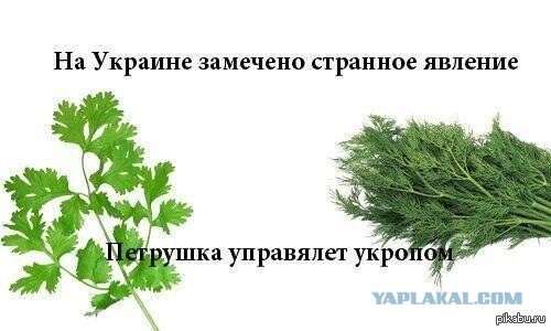 Кому юки отсыпать?