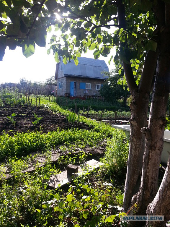 Чем мы бесим Америку и страдальцев по фуагра,