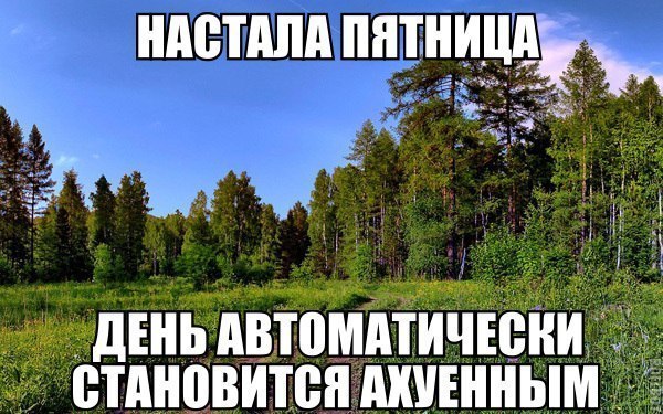 Смешные и не очень картинки из ВК