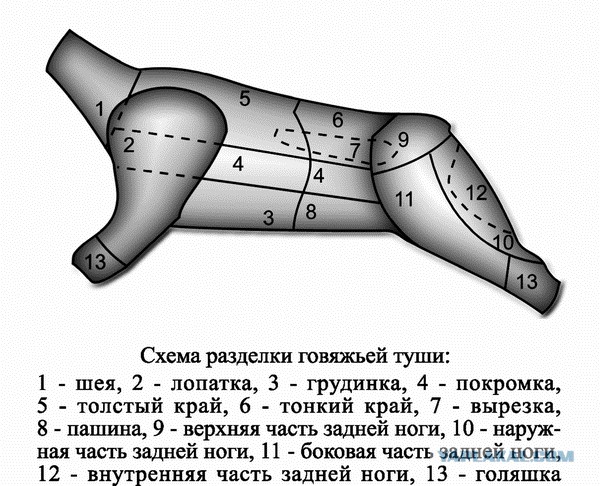 Анализ работы электрической централизации унифицированной системы: Методические 