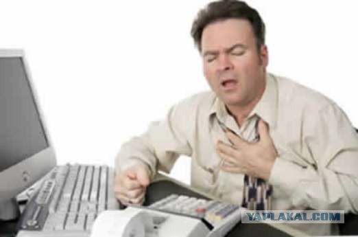 Дорожки на даче.