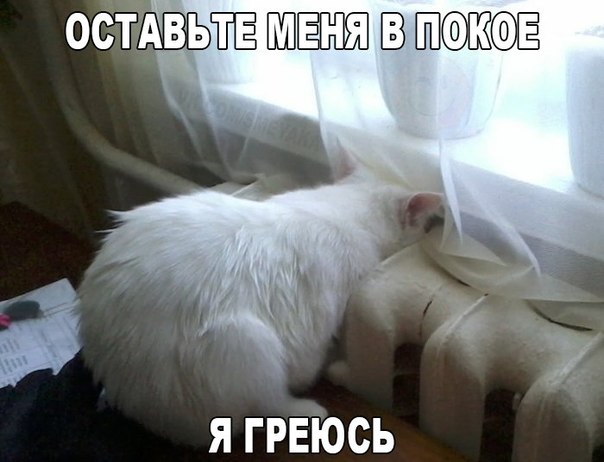 Подборка смешных и забавных фото
