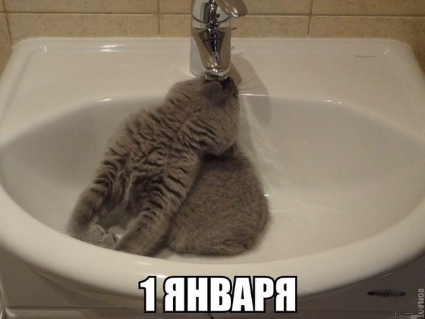 Разные картинки