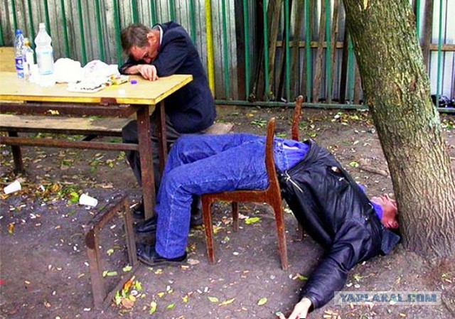 10 удивительных фактов о том, как спят животные