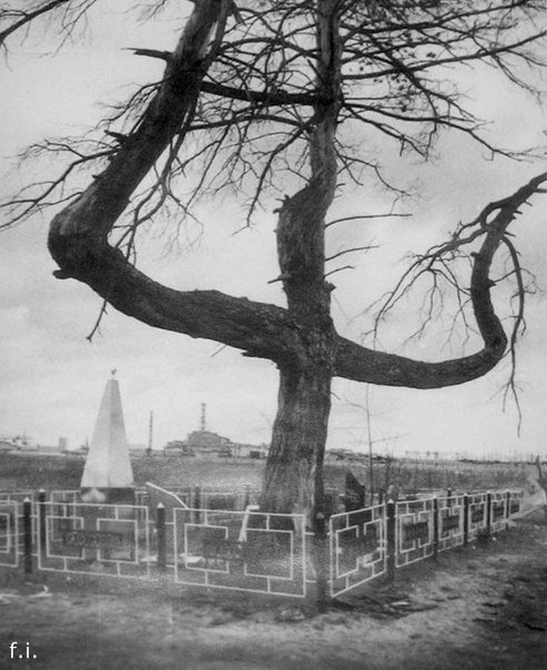 Начерпано. Короткие истории