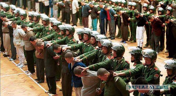 Как победить коррупцию? Ответ простой!