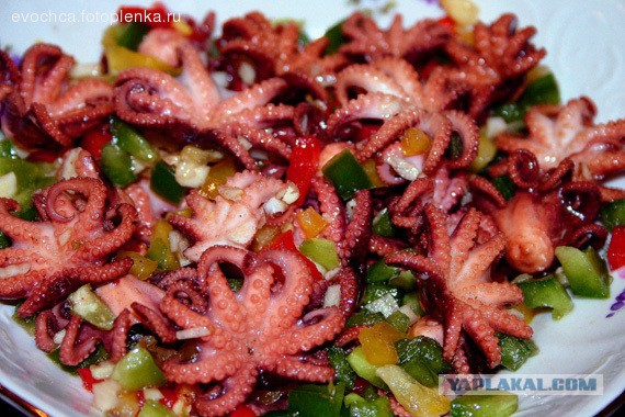 Осминожки