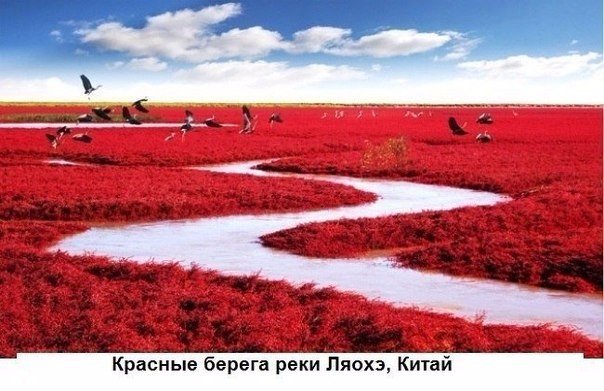Картинки из этих ваших инторнетов