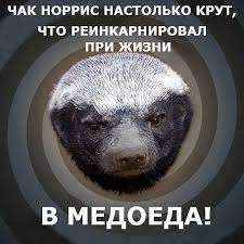 Настоящий хозяин леса, которого даже медведи обходят стороной!