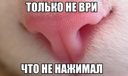 Фото-винегрет на субботу