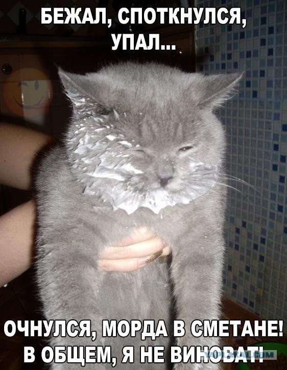Это не я!