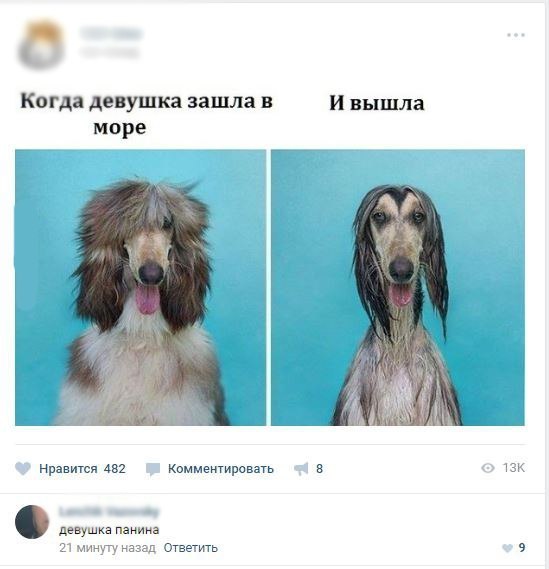 Не очень светлый юмор к середине недели