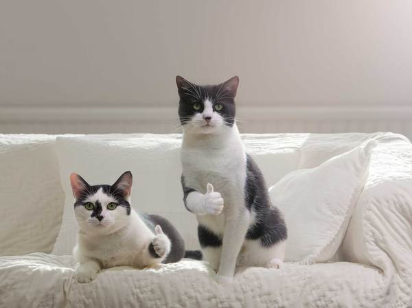 Сборы с населения и бизнеса увеличат на триллион рублей