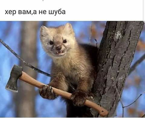 Разное с тырнэта