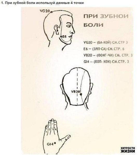Полезные свойства бальзама "Звёздочка"