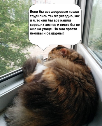 Массовая бедность в России угрожает существованию страны