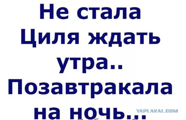 Смешные комментарии из социальных сетей 23.03.2018